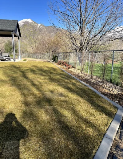 Fenced backyard with early‑spring grass, leafless tree, and snow‑capped mountains beyond.