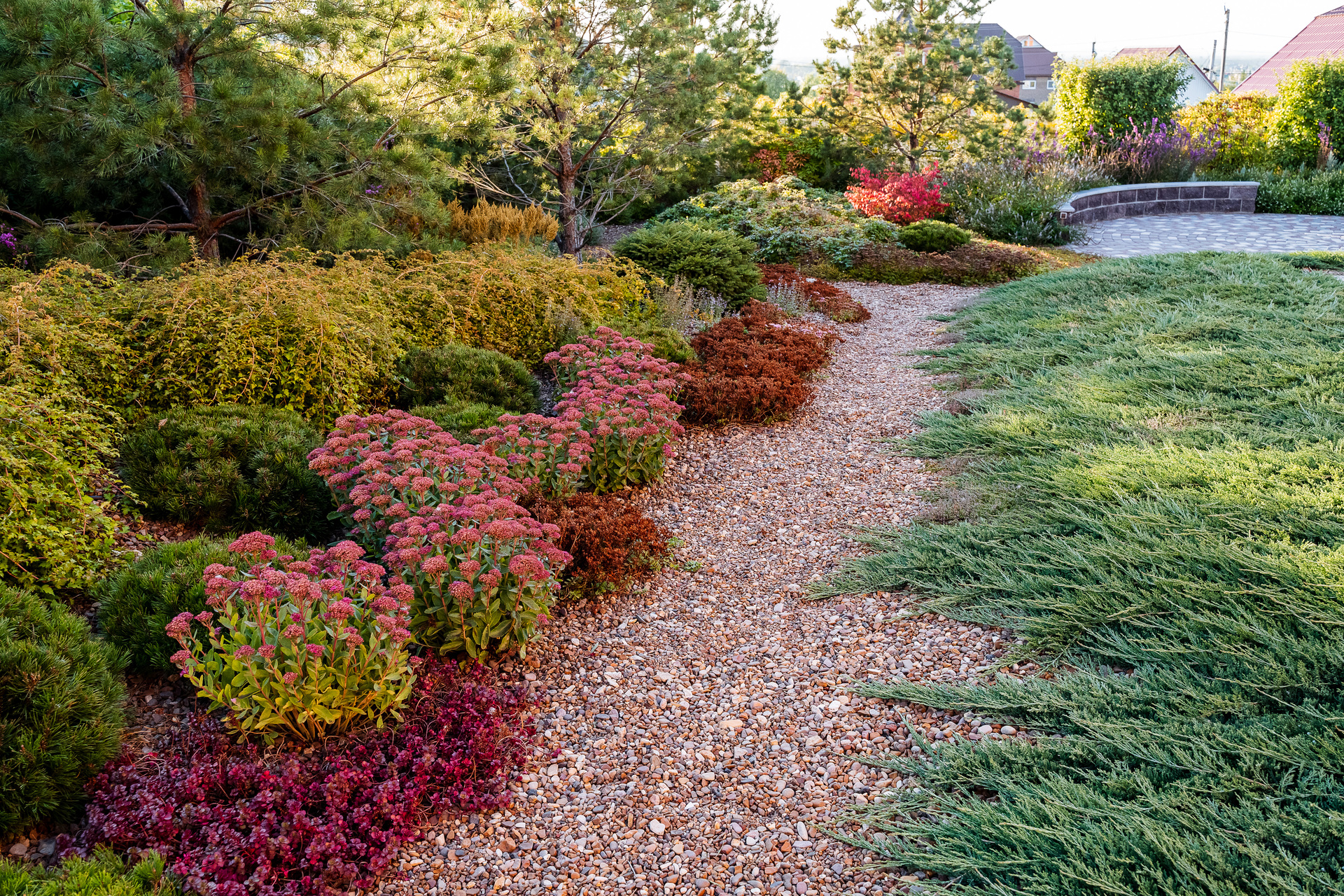 A beautiful garden filled with various plants and flowers